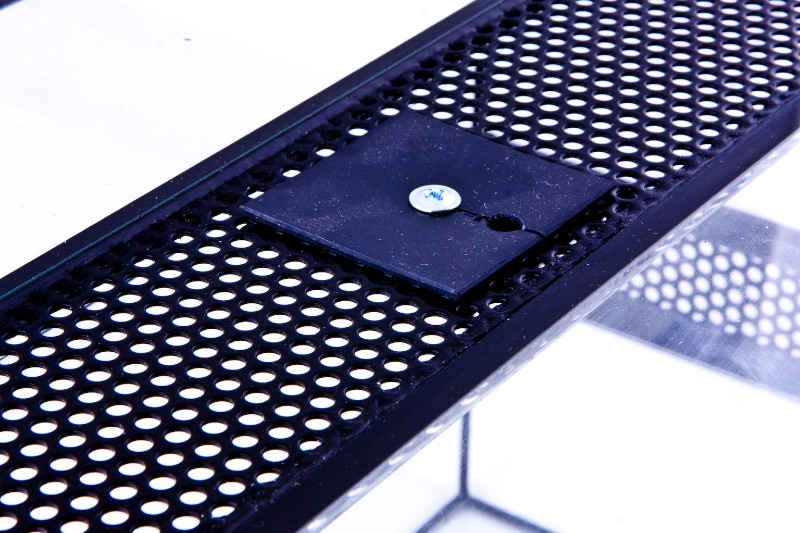 Chov žiab v teráriách