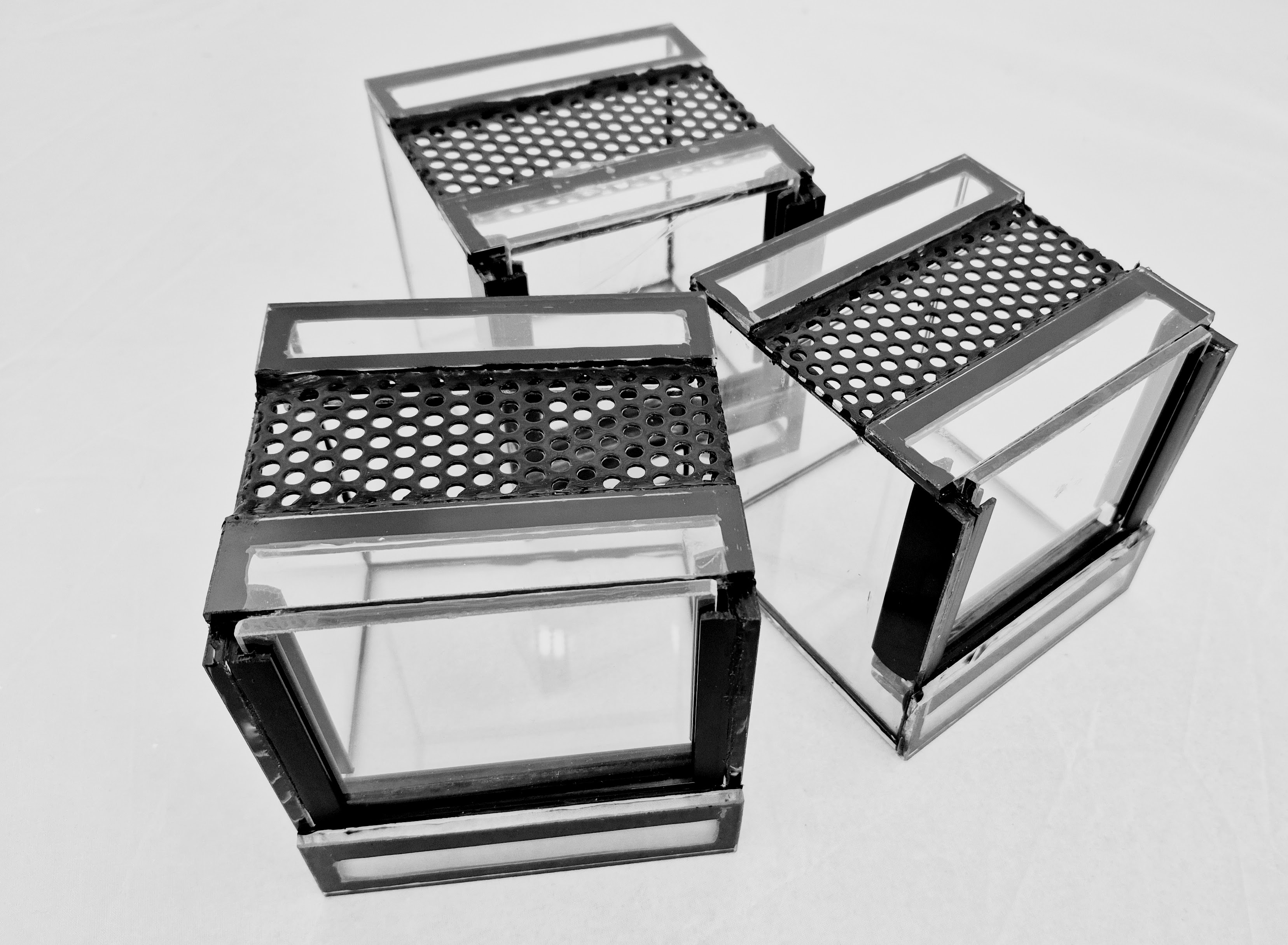 Terárium pre pavúky a hmyz