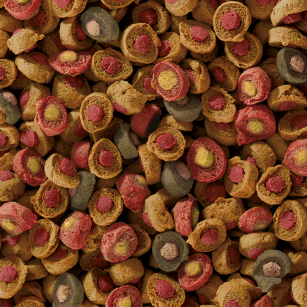 Sera Koi All Seasons Probiotic 5Kg