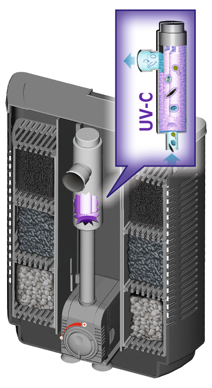 Sera BioActive IF 400 + UV