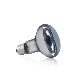Terra Day Heat bulb 50W